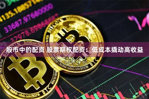 股市中的配资 股票期权配资：低成本撬动高收益